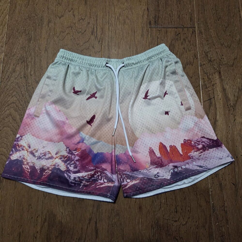 YoungLA 141 Block Party Sedona Sunrise Mesh Gym Shorts Men’s Sz Medium